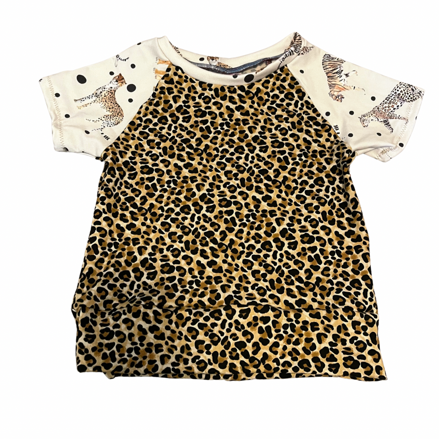 Kool Katz - Raglan Short Sleeves - 2t