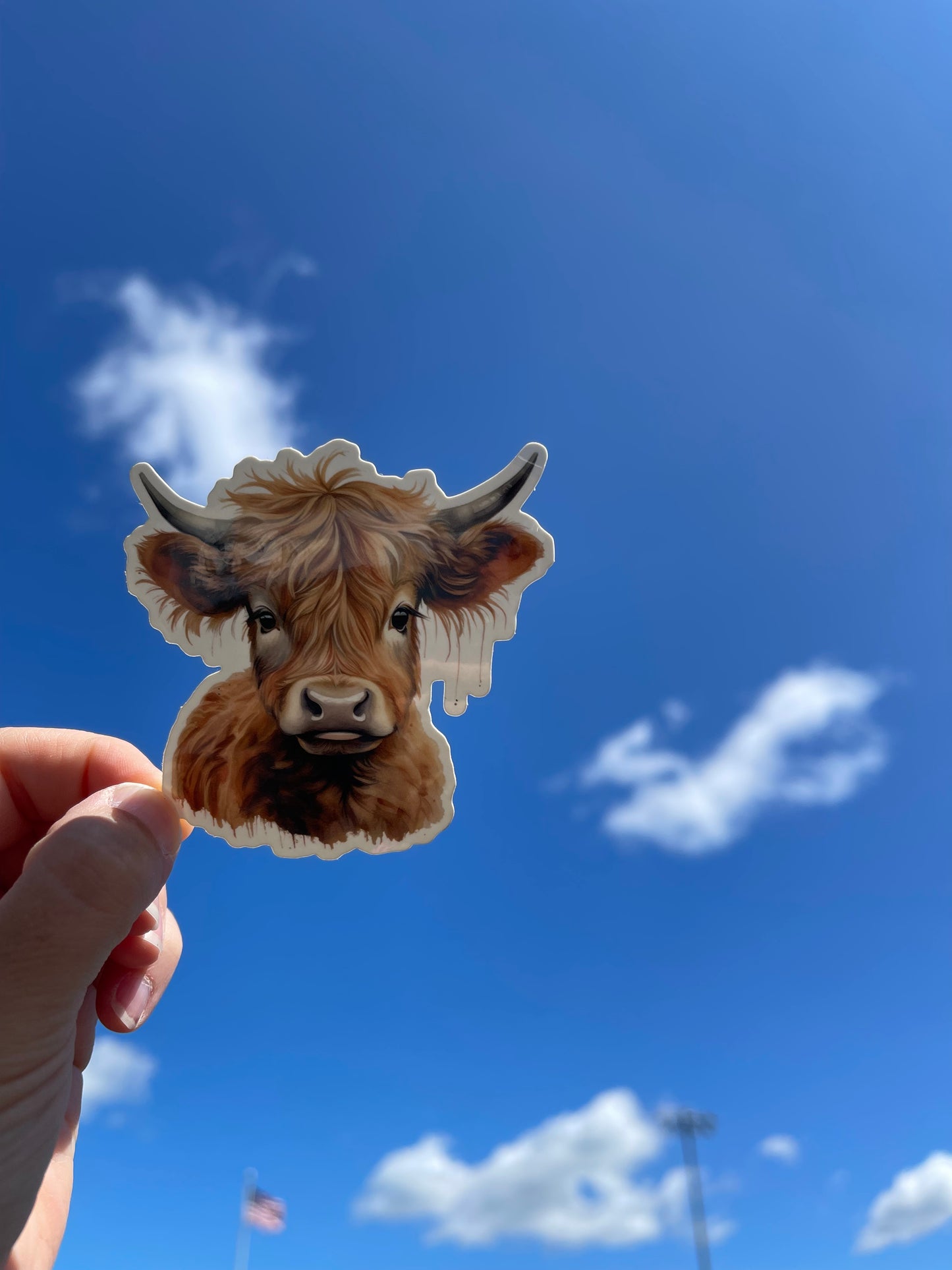 Highland Cow Sticker